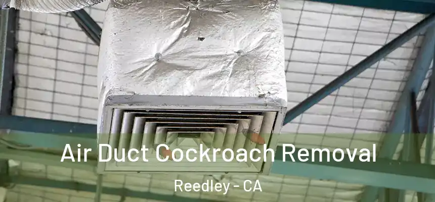  Air Duct Cockroach Removal Reedley - CA