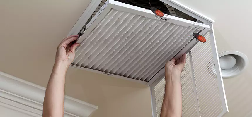 Preventive Cockroach-Proofing for Ducts in Reedley