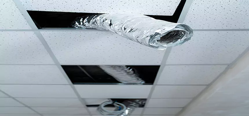 Affordable HVAC Sanitizing After Pest Removal in Reedley