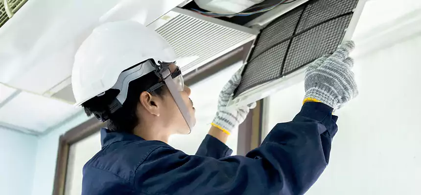 Our Mold & Mildew Removal from Air Ducts Services in Reedley, CA