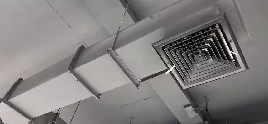 Our Pest Removal From Ducts Services in Reedley, CA