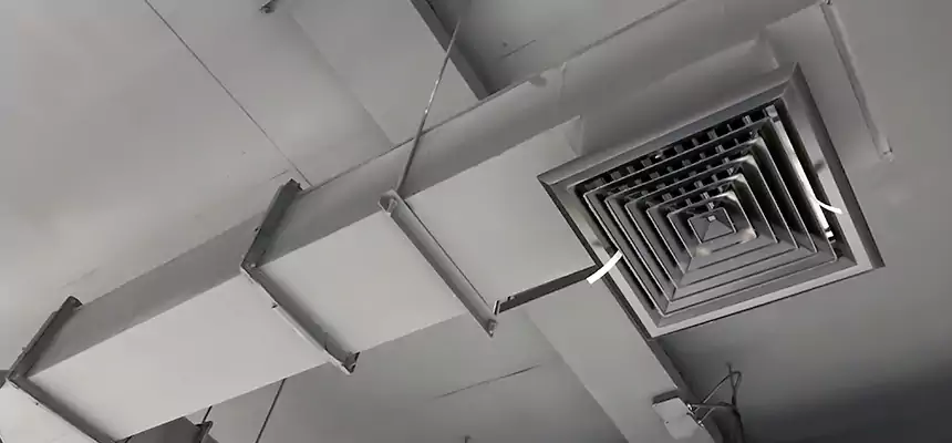 Our Rodent Droppings In Vents Services in Reedley, CA