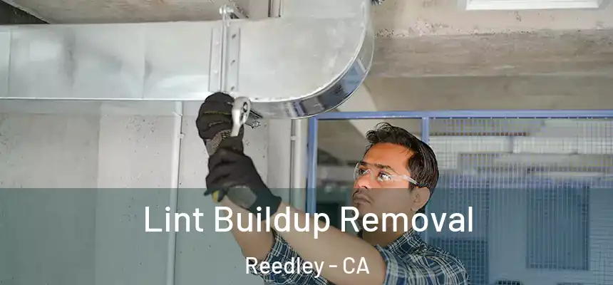  Lint Buildup Removal Reedley - CA