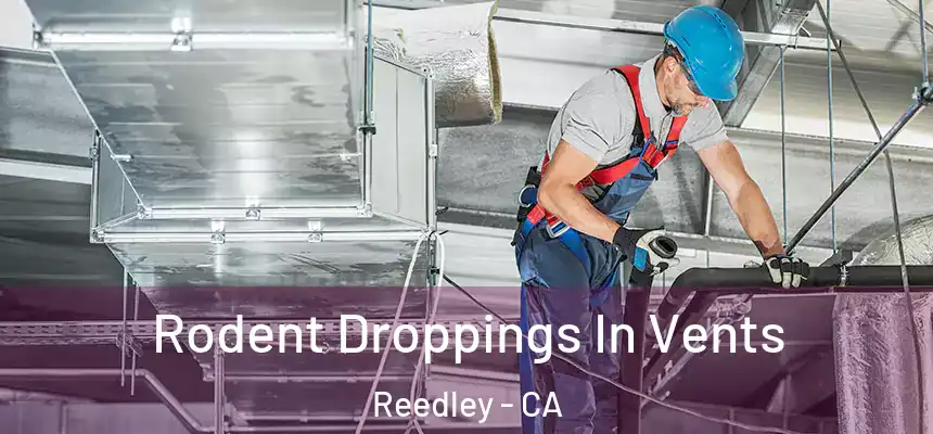 Rodent Droppings In Vents Reedley - CA