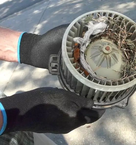 About Air Duct Mice Removal in Reedley, CA