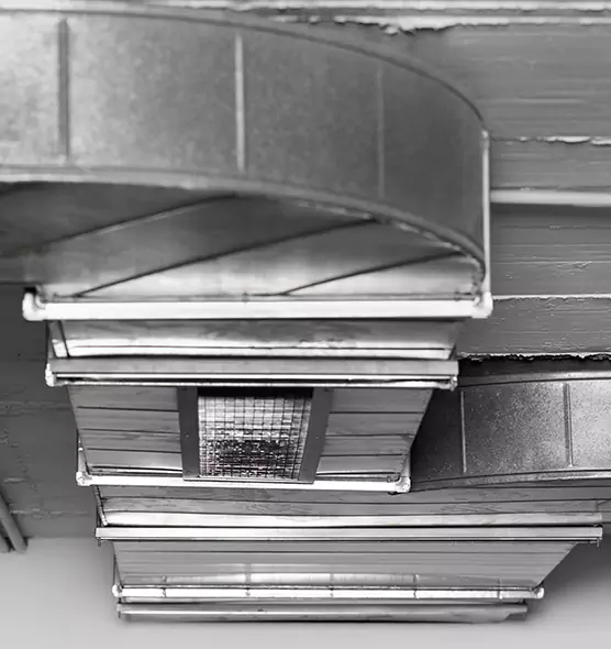 Professional Air Duct Pet Hair Removal in Reedley, CA