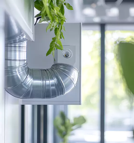 Professional Eco-Safe Dryer Vent Cleaning in Reedley, CA